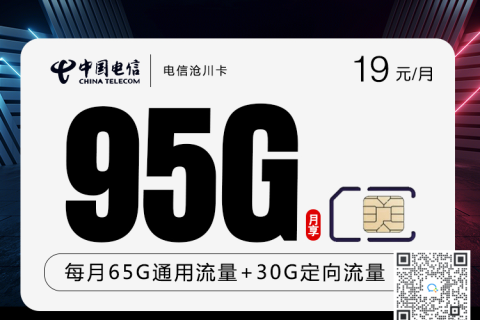 电信沧川卡19元95G套餐介绍