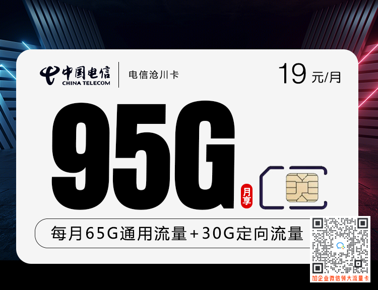 电信沧川卡19元95G套餐介绍