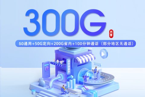山东专属移动卡2.0【29元300G+100分钟】套餐简介