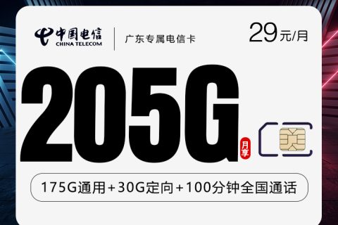 广东专属电信卡【首年29元205G+100分钟】套餐简介