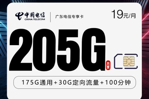 广东电信专享卡新 【首年19元205G+100分钟】套餐简介