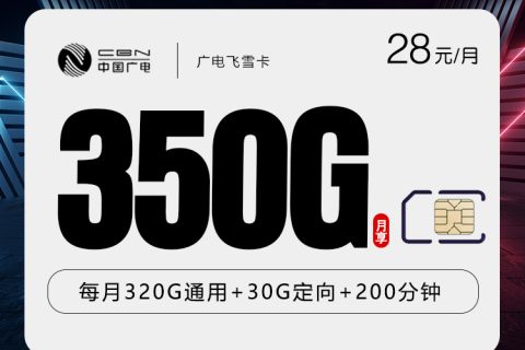 广电飞雪卡【28元350G+200分钟】【仅发湖南】套餐简介