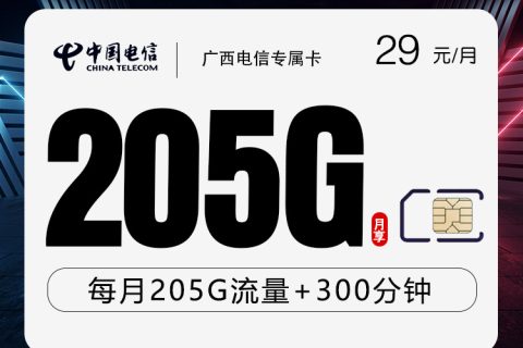 广西电信专享卡【29元205G+300分钟】套餐简介