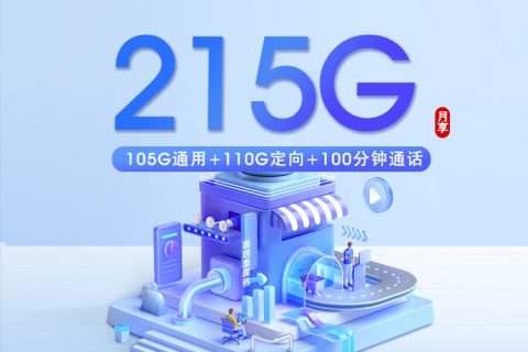 湛江电信专属卡【29元215G+100分钟】套餐简介