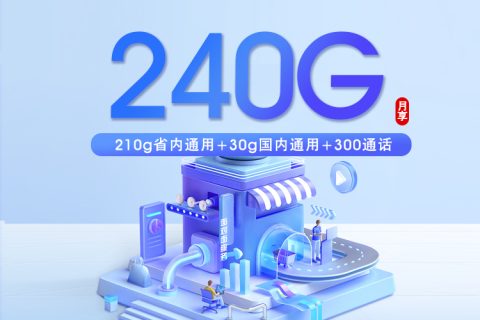 联通烟台专属卡【两年28元240G+300分钟】套餐简介