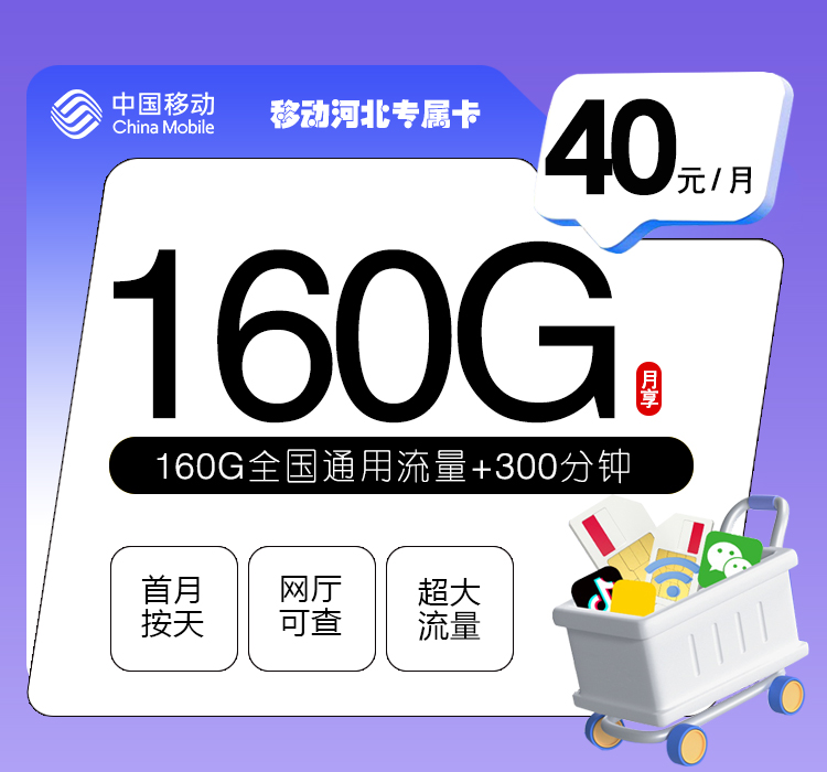 移动河北专属卡【40元160G+300分钟】