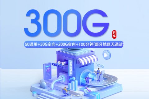 山东专属移动卡3.0【30元300G+100分钟】套餐简介